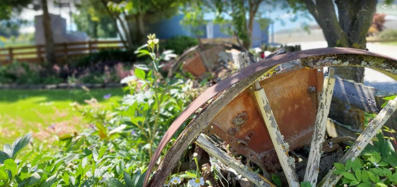 Roxburgh Clutha Gold Top 10 Holiday Park エクステリア 写真